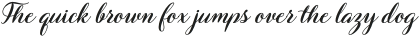 Barbara Slant Bold Script Regular otf (700)