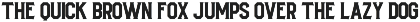 Silver Stone Font + Bonus preview