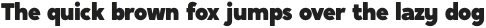 Crossten ExtraBold Italic otf (700)