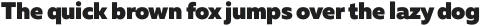 Muller ExtraBold Italic otf (700)