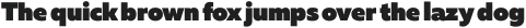 Muller Hairline Italic otf (100)