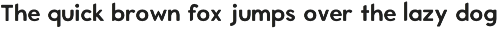 ENRIQ - Elegant Sans Serif Font preview