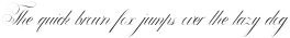 TNA otf (400)