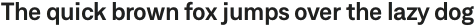 Neufile Grotesk SemiBold otf (600)