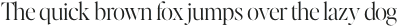 Editor&#039;s Note Display Light otf (300)