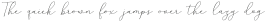 Mindline Script Bold Regular ttf (700)