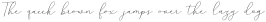 Mindline Script Bold Regular otf (700)