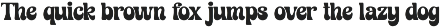 Retro Monkey - Modern Retro Serif font preview