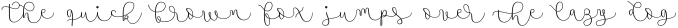 Namaste Script Pro Light otf (300)