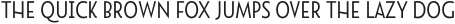 Namaste Sans Essential Bold otf (700)