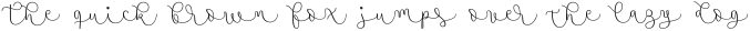 Namaste Script Essential Light otf (300)