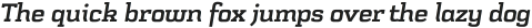 Schwager Bold Italic otf (700)