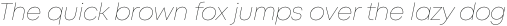 Mont Thin Italic otf (100)