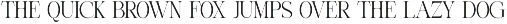 Micky Thank Minimalist Serif Font preview