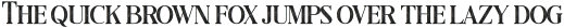Black Drama Serif Rough otf (900)