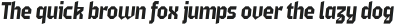Fierro Italic otf (400)