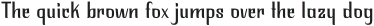 Inarritu Slim otf (400)