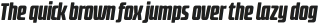 Fidel Black Italic otf (900)