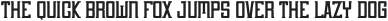 CornerFieldRegular otf (400)