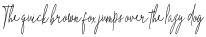 The Hand Style otf (400)