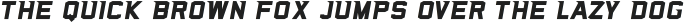 Sea Dog Bold Italic Stencil ttf (700)