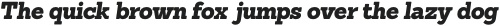 Sanchez Black Italic otf (900)