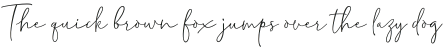 Delliatin Trending Signatures Regular otf (400)