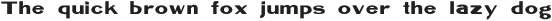 Expert Sign Bold ttf (700)