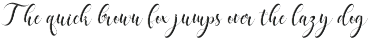 Delaney Script preview