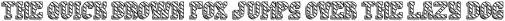 SpaceshipFont TextureShadow otf (400)