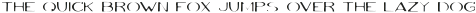 Volki Thin ttf (100)