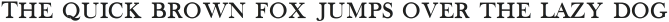 Vtks Savage v2 ttf (400)
