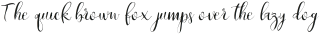 Vtks Scriptilds ttf (400)