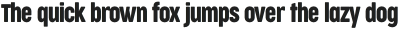Cocogoose Compressed otf (400)