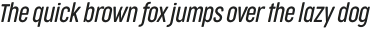 Cocogoose Compressed Light Italic otf (300)