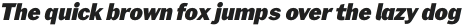 Xpress HeavyItalic otf (800)