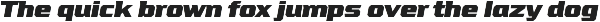 VTF League preview