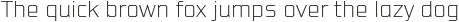 VTF League Thin otf (100)
