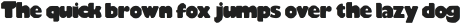 INCA Regular ttf (400)