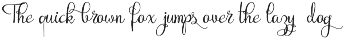 Rubynt preview
