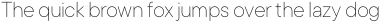 TT Commons Thin Italic otf (100)