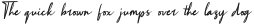 Rotterdam-Oblique otf (400)