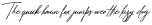 Safarnama Signature Regular otf (400)
