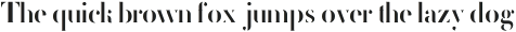 FEMORALIS ttf (400) Sample