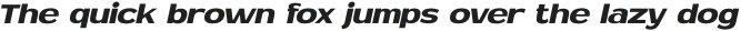 MN Newthon Semi Bold Italic otf (600)