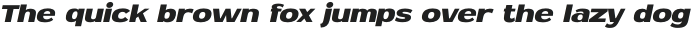 MN Newthon Bold Italic otf (700)
