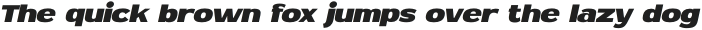 MN Newthon Extra Bold Italic otf (700)