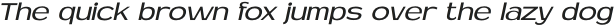 MN Newthon Light Italic otf (300)