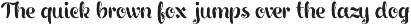 Dark Fox Font preview