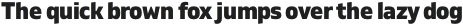 Gilam Heavy Italic otf (800)